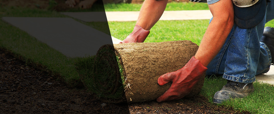 Greenwood Landscapers